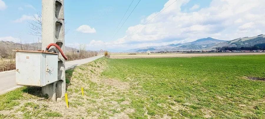 Teren de 8906 mp, în Dofteana