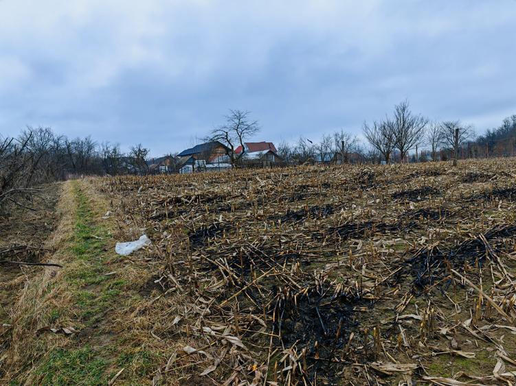 Teren Construcții intravilan de 3000 mp, în Măgura