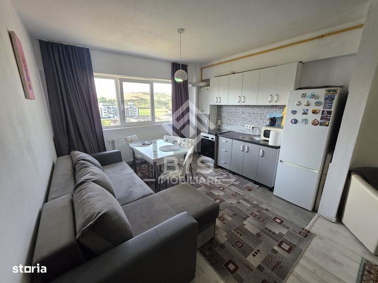 Apartament 2 camere Malinului - 4