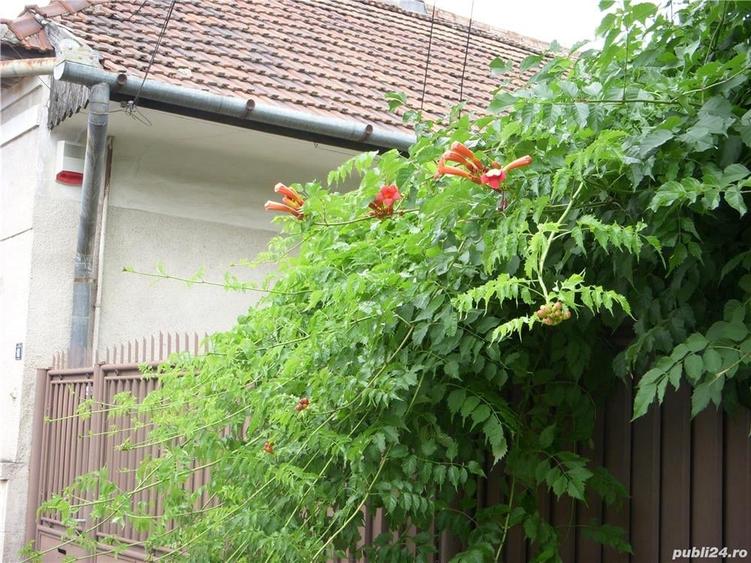 Casă cu 4 camere în Semicentral