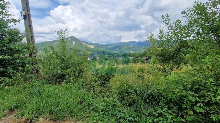 Teren Construcții intravilan de 5268 mp, în Baia Sprie