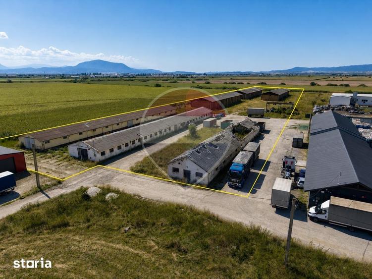 Teren de 17500 mp, în Hălchiu
