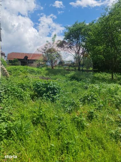 Spațiu comercial, de 1,650 mp, în Baia de Fier
