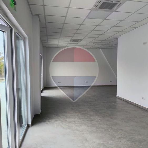 Spațiu industrial, de 572 mp, în Chiajna