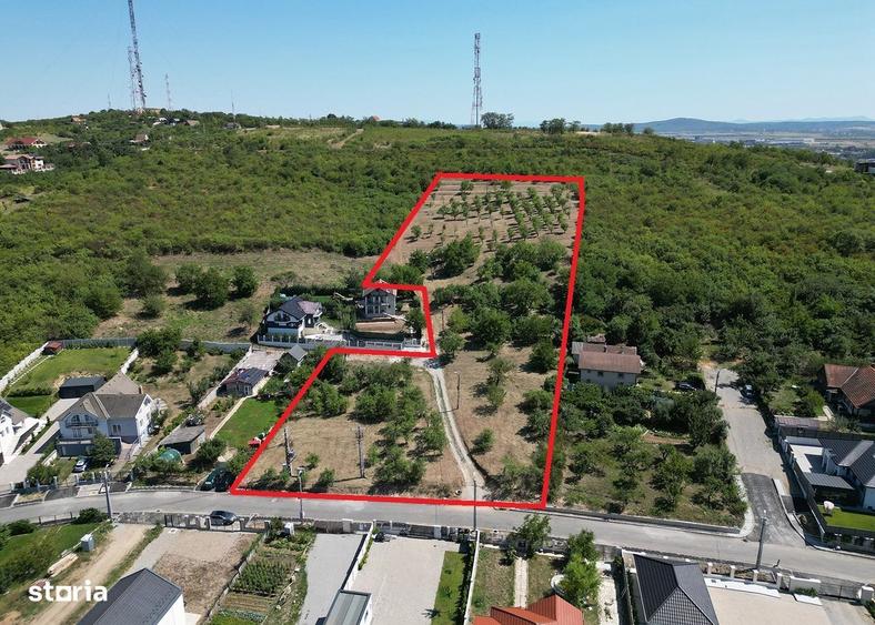1.4 HA INTRAVILAN - Str. Sofiei - Nymphaea - IMOBIHOR - 4