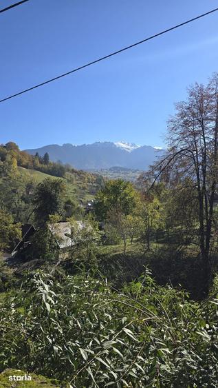 Casă cu 7 camere cu Teren 1350 Mp în Bran