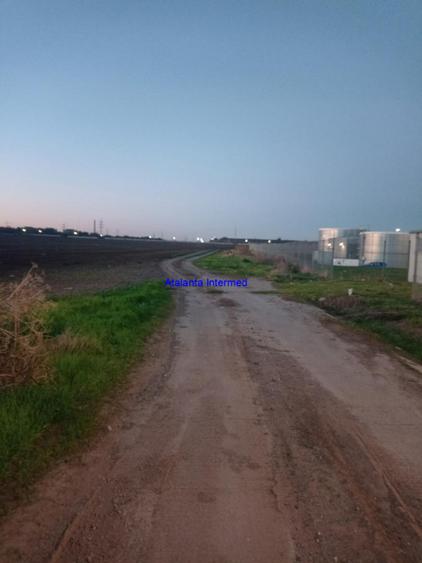 Teren de 8333 mp, în Sud