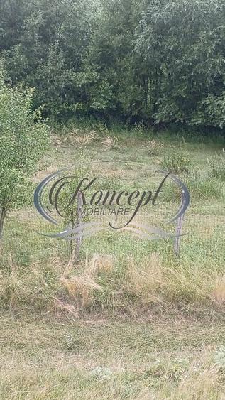 Teren agricol intravilan de 980 mp, în Ciurila