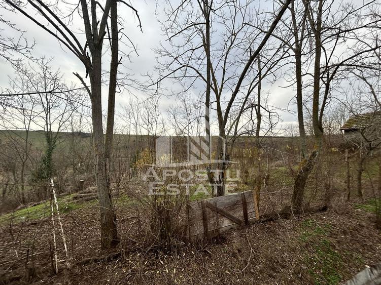Teren Construcții intravilan de 3920 mp, în Herneacova