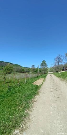 Teren în Gușoeni