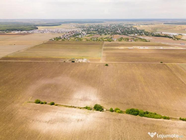 DASCALU TEREN INTRAVILAN 11300 MP, INVESTITIE! - Dascalu (Bucuresti-Ilfov) - 10