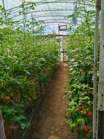 Casă individuală cu 4 camere cu Teren 1000 Mp în Limanu