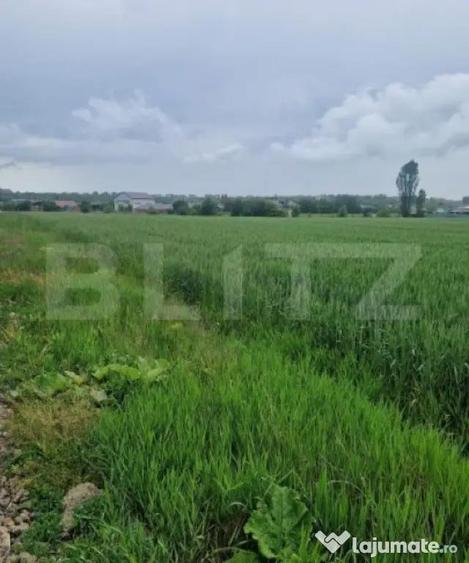 Teren pentru casa intravilan , 800 mp deschidere la drum Bod - 2