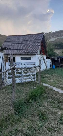 Casă cu Teren 938 Mp în Central