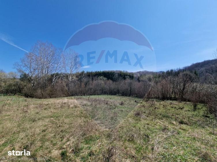 Teren de 2500 mp, în Mărgineni