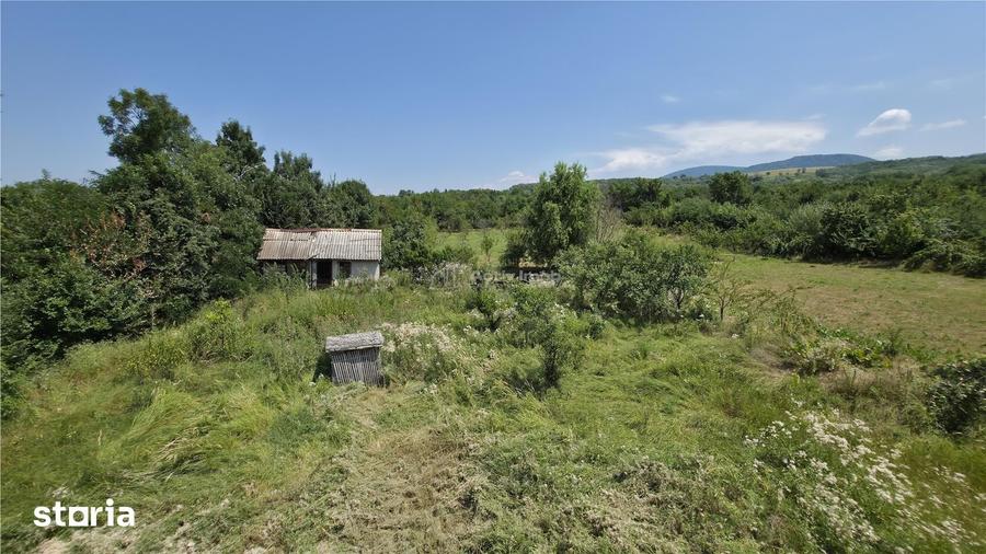 Casă cu 3 camere cu Teren 5314 Mp în Răchitova