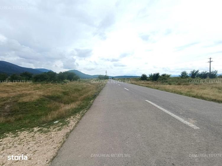 Teren de 16500 mp, în Bartolomeu