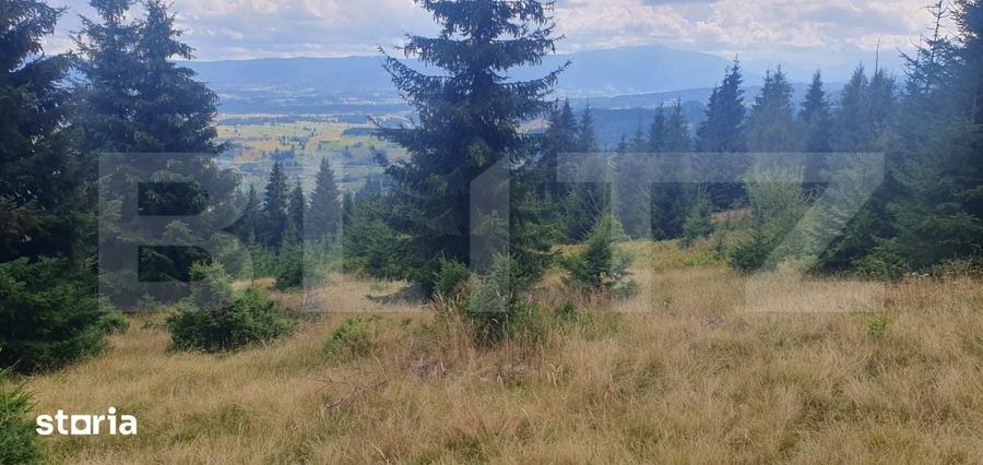 Teren extravilan de vanazre, 42.152 mp, zona Saru Dornei - 6