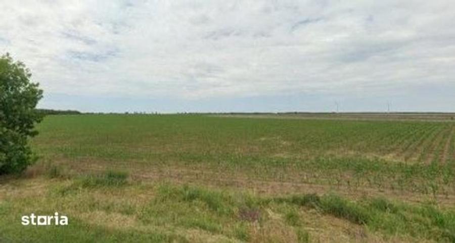 Teren de 1200 mp, în Pogoanele