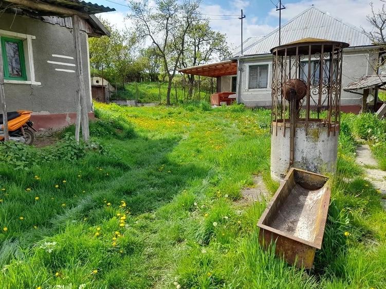 Casă cu Teren 3096 Mp în Boianu Mare