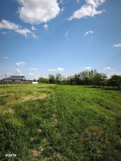 Spațiu comercial, în Tărian