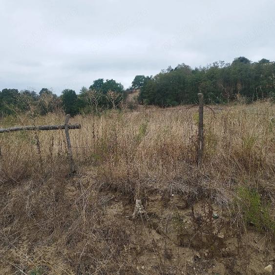 Teren de 400 mp, în Veștem
