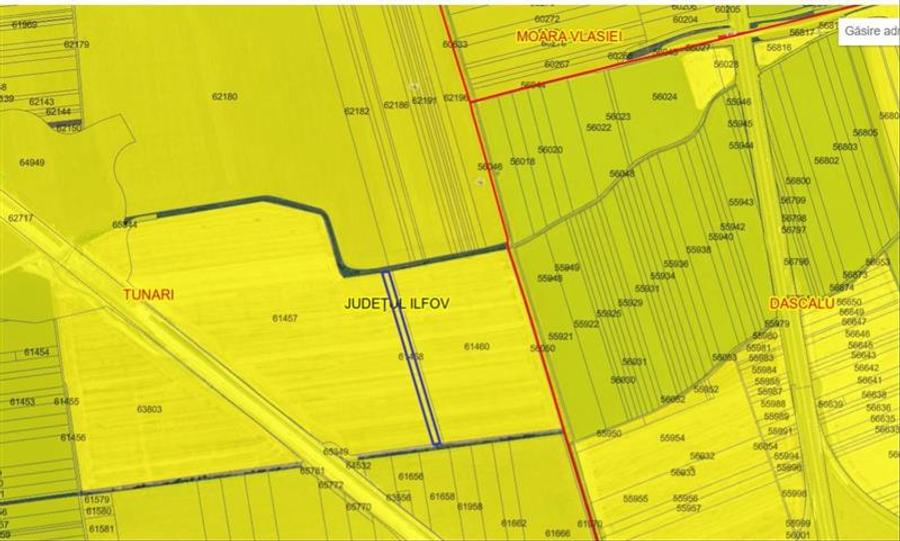 Teren Construcții intravilan de 6845 mp, în Dimieni