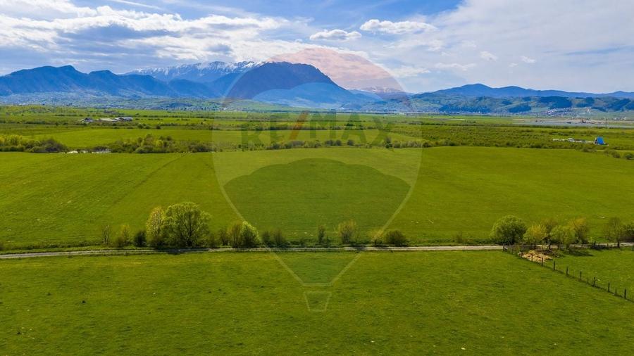 Teren agricol extravilan de 3000 mp, în Pănicel