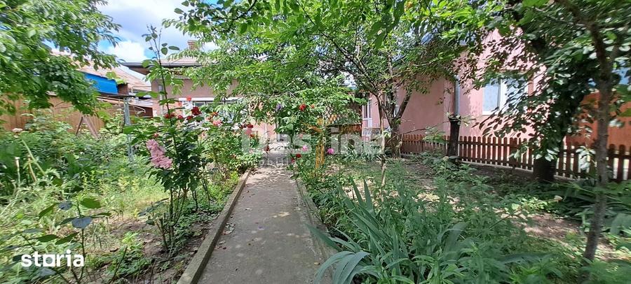 IASI, Zona Centrala - Proprietate cu potential COMERCIAL si INVESTITIO - 6