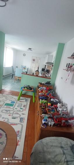 Casă cu 4 camere decomandat cu Teren 801 Mp în Pianu