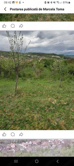 Teren de 5800 mp, în Central