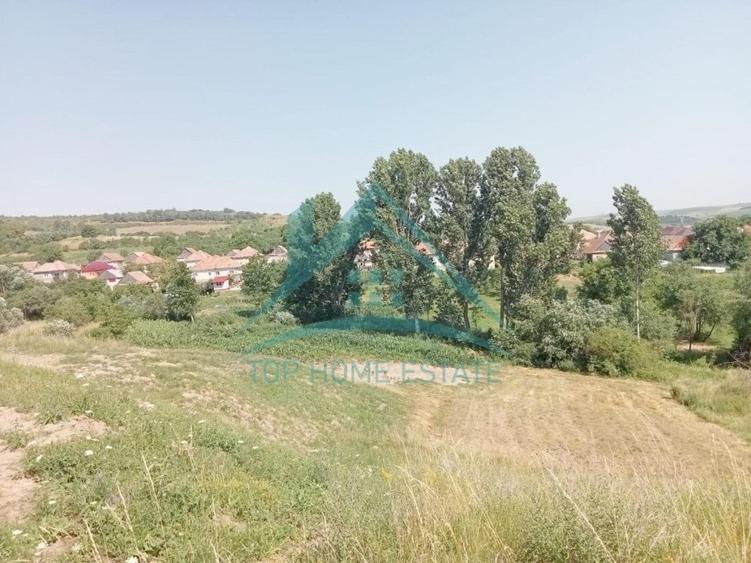 Teren Construcții intravilan de 3000 mp, în Corușu