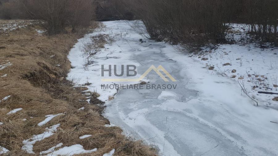 Teren agricol extravilan de 10035 mp, în Cheile Râșnoavei