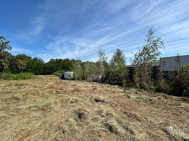 Teren intravilan de 8930 mp, în Păulești