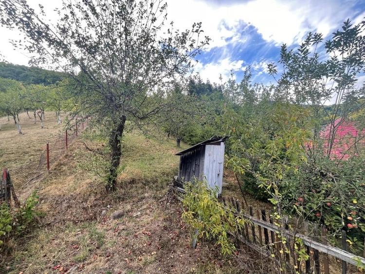 Casă individuală cu 2 camere cu Teren 1000 Mp în Firiza
