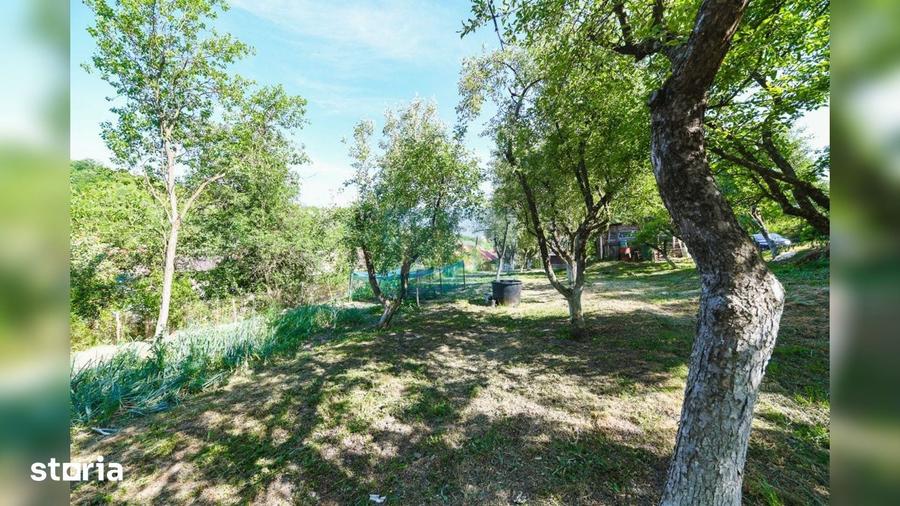 Casă cu 3 camere cu Teren 3245 Mp în Vultureni