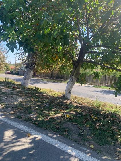 Teren Construcții extravilan de 15000 mp, în Petrăchioaia