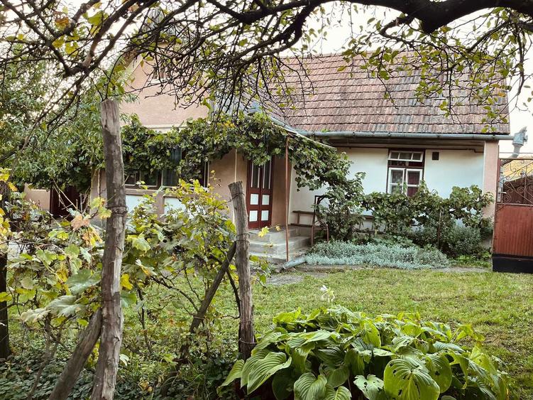 Casă cu 2 camere în Păsăreni