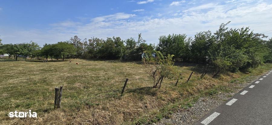 Teren de 4000 mp, în Mihai Eminescu