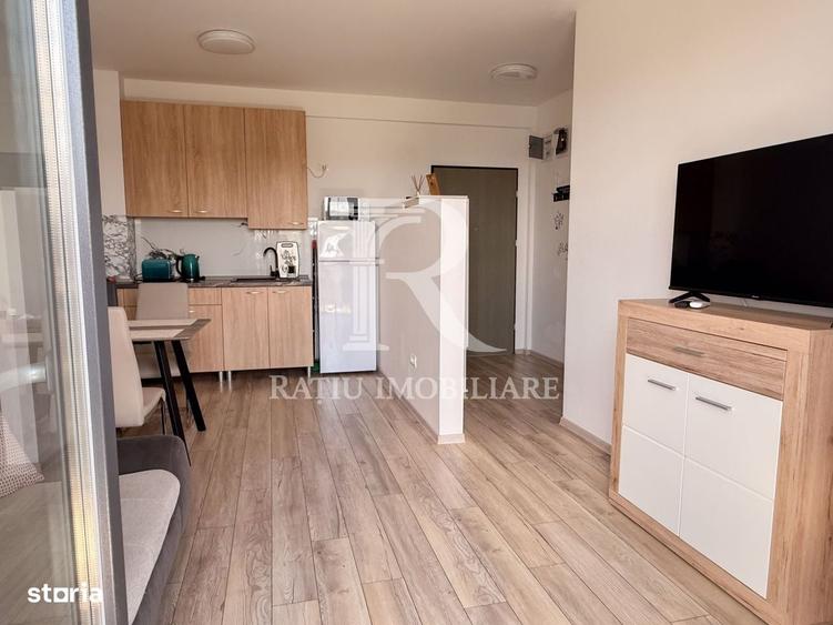 Apartament cu 2 camere decomandat în Tămășeu
