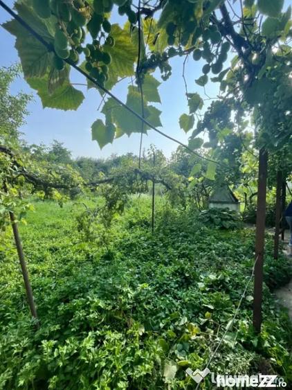 Casă cu 3 camere cu Teren 800 Mp în Siret