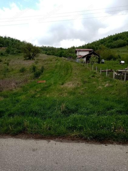 Teren de 2100 mp, în Pestișu Mic