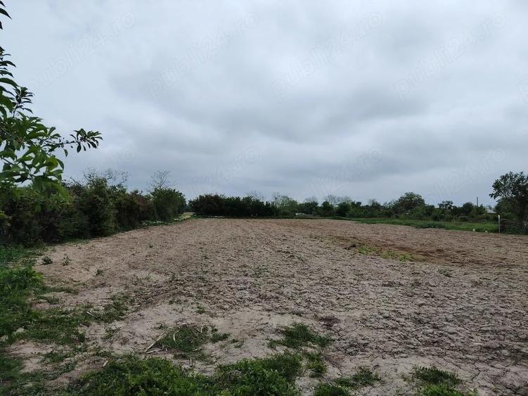 Casă cu 3 camere cu Teren 3300 Mp în Săbiești