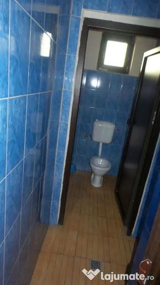 Spațiu comercial, de 450 mp, în Boțârlău