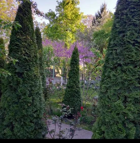 Casă cu 2 camere cu Teren 200 Mp în Copou
