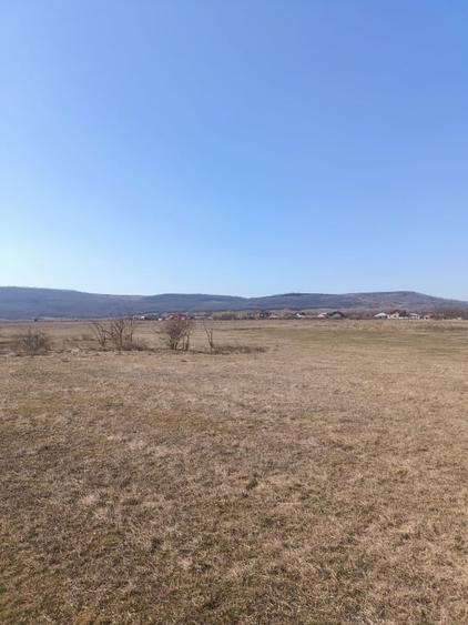 Teren agricol extravilan de 10000 mp, în Golăiești