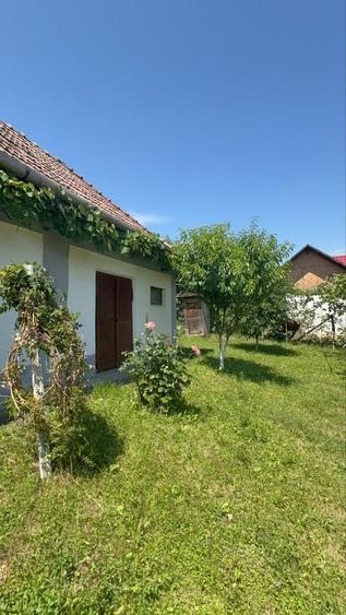 Casă cu 3 camere în Central