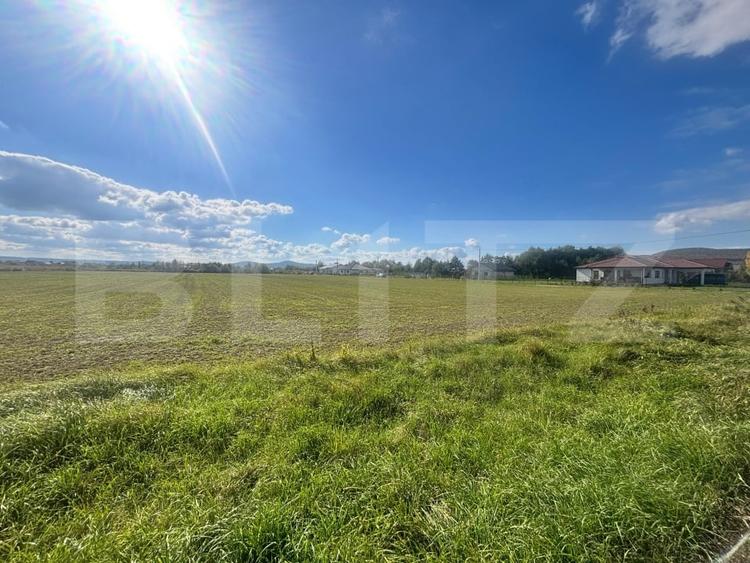 Teren agricol extravilan de 25800 mp, în Viișoara