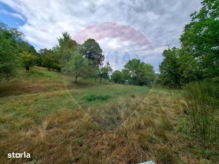 Teren de 990 mp, în Bârzava