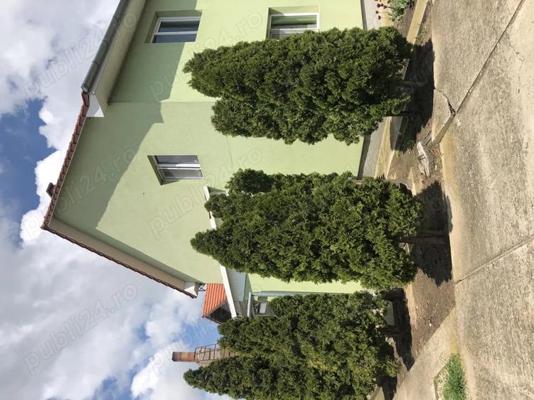 Casă cu 4 camere cu Teren 2000 Mp în Pădureni (Jebel)